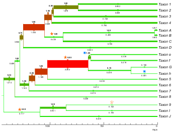 Example of possible formats in TreeGraph 2